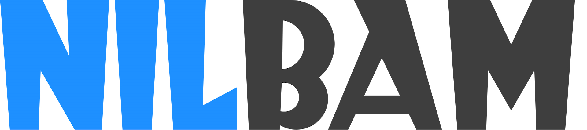 فروشگاه اینترنتی نیل بام